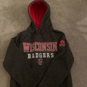 100% Polyester Wisconsin Sweatshirt